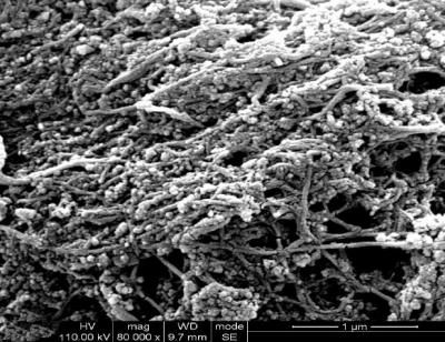 Carbon Nanomaterials