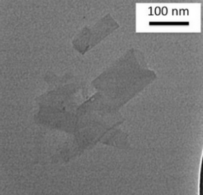 BioGraphene Suspensions in Sera