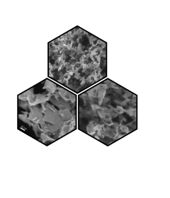 Crumpled Graphene Sheets (R1H)