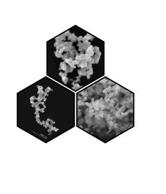 Branched Nanocarbon Spheres (R1L)