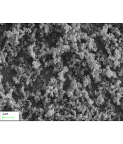 Carbon Nanocages