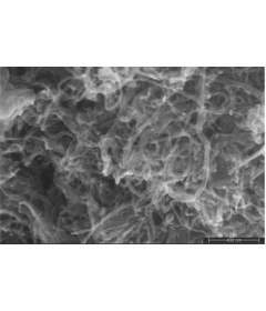 Carbon Nanotubes, Multi-walled, Sulfur-doped (S-doped MWNTs)