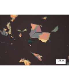 Mechanically Exfoliated Monolayer WSe2 On Substrates