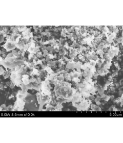 Porous Silicon