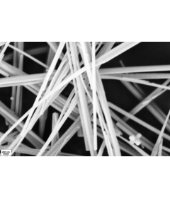 Zinc Oxide Nanowire