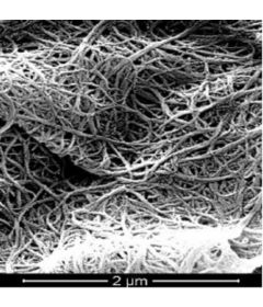 Highly Purified Single-Walled Carbon Nanotubes (Length:5-30μm, OD