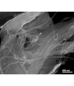 Purified Amino Single-Walled Carbon Nanotubes