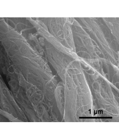 Highly Purified Single-Walled Carbon Nanotubes