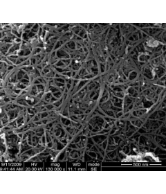 Purified Multi-Walled Carbon Nanotubes (OD: 