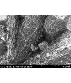 Purified Hydroxylate Multi-Walled Carbon Nanotubes (OD: 