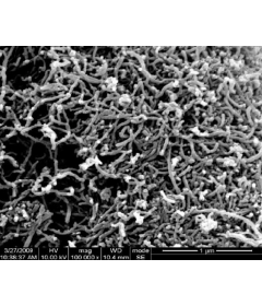 Purified Hydroxylate Multi-Walled Carbon Nanotubes (OD: 10-20nm)