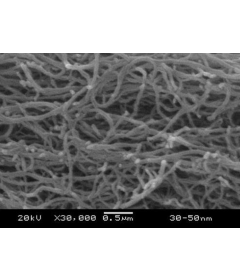 Purified Hydroxylate Multi-Walled Carbon Nanotubes (OD: 30-50nm)