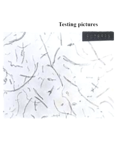 Purified Carboxylic Multi-Walled Carbon Nanotubes (OD: 8-15nm)