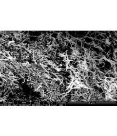 Graphitized Multi-Walled Carbon Nanotubes (OD: 8-15nm)