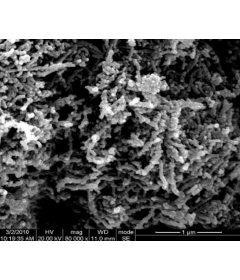 Graphitized Multi-Walled Carbon Nanotubes (OD: 10-20nm)