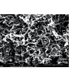Graphitized Multi-Walled Carbon Nanotubes (OD: 30-50nm)