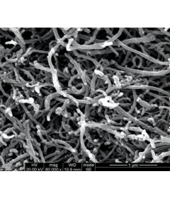 Graphitized Multi-Walled Carbon Nanotubes (OD: >50nm)