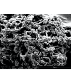 Ni-Coated Multi-Walled Carbon Nanotubes (OD: 30-50nm)