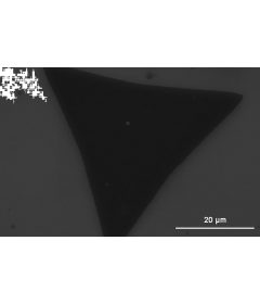 CVD Method Monolayer MoS2