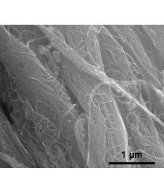 Highly Purified Single-Walled Carbon Nanotubes (Large Surface Area)