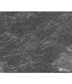 Single-Walled Carbon Nanotube Paper