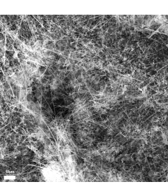 SiC Nanowire