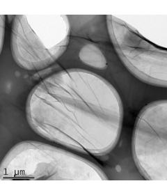 Large-Size Graphene Oxide