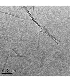 Single Layer Graphene Oxide Powder (H Method)