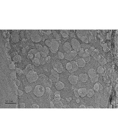 2D Porous Graphene