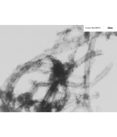 Ni-Coated Multi-Walled Carbon Nanotubes (OD: >50nm)