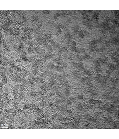 Monolayer Molybdenum Disulfide (MoS2) Quantum Dots