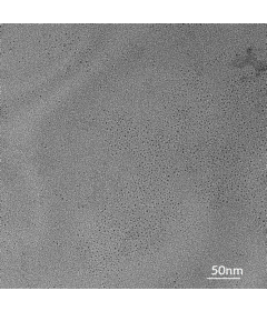 Monolayer Molybdenum Disulfide (MoS2) Quantum Dots powder