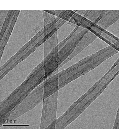 Carbon Nanotube Sponges