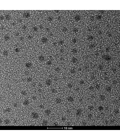 Monolayer Tungsten Disulfide (WS2) Quantum Dots Powder