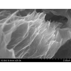 Nitrogen-Doped Graphene Aerogel