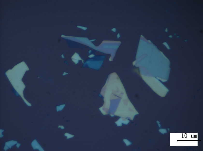 Mechanically Exfoliated Monolayer MoSe2 on Substrates Monolayer MoSe2