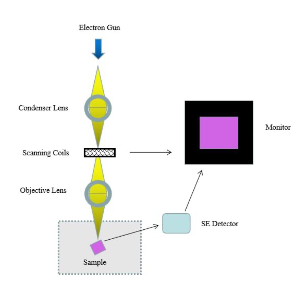 Scanning Electron Microscope Diagram