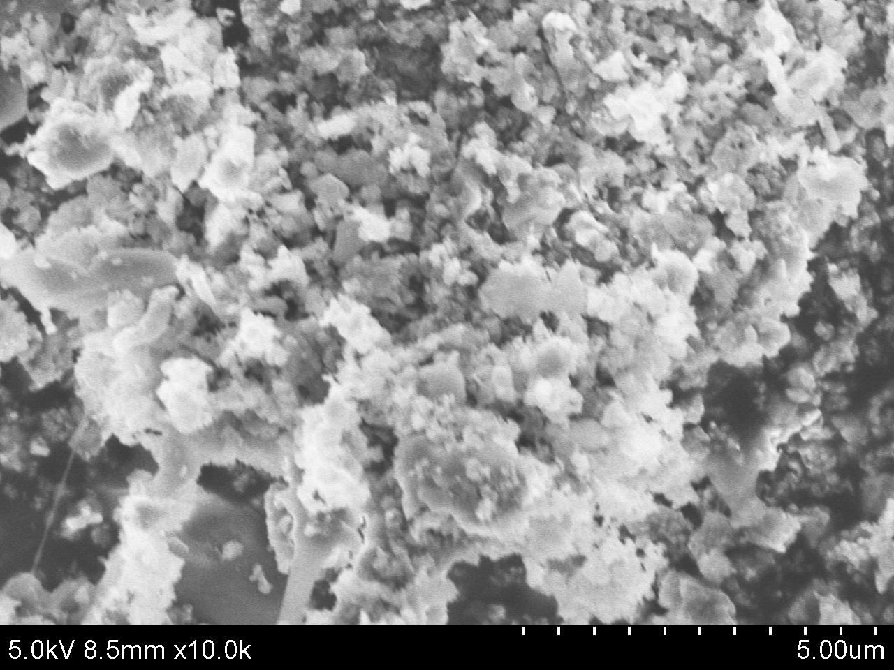 Typical SEM Image of ACS Material Porous Silicon (1)
