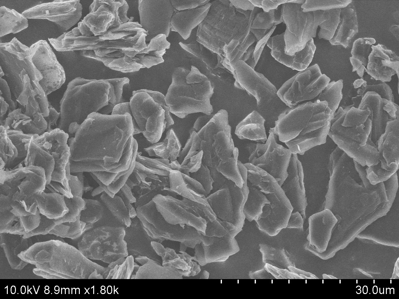 SEM-Si/C Composite Anode Material Type B