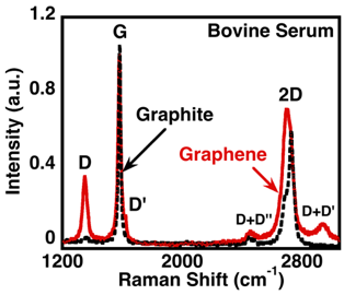 Fig.2a