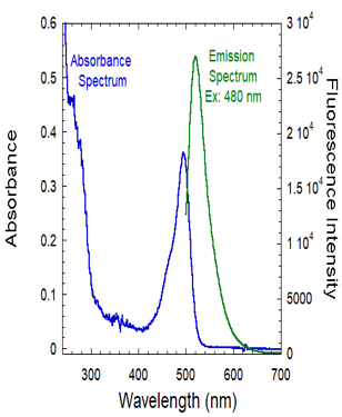 Fig.3B