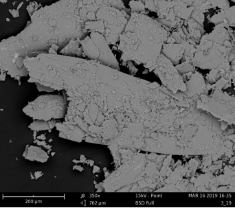 SEM image of BP Powder