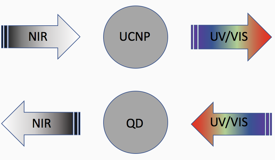 UCNPs_QD