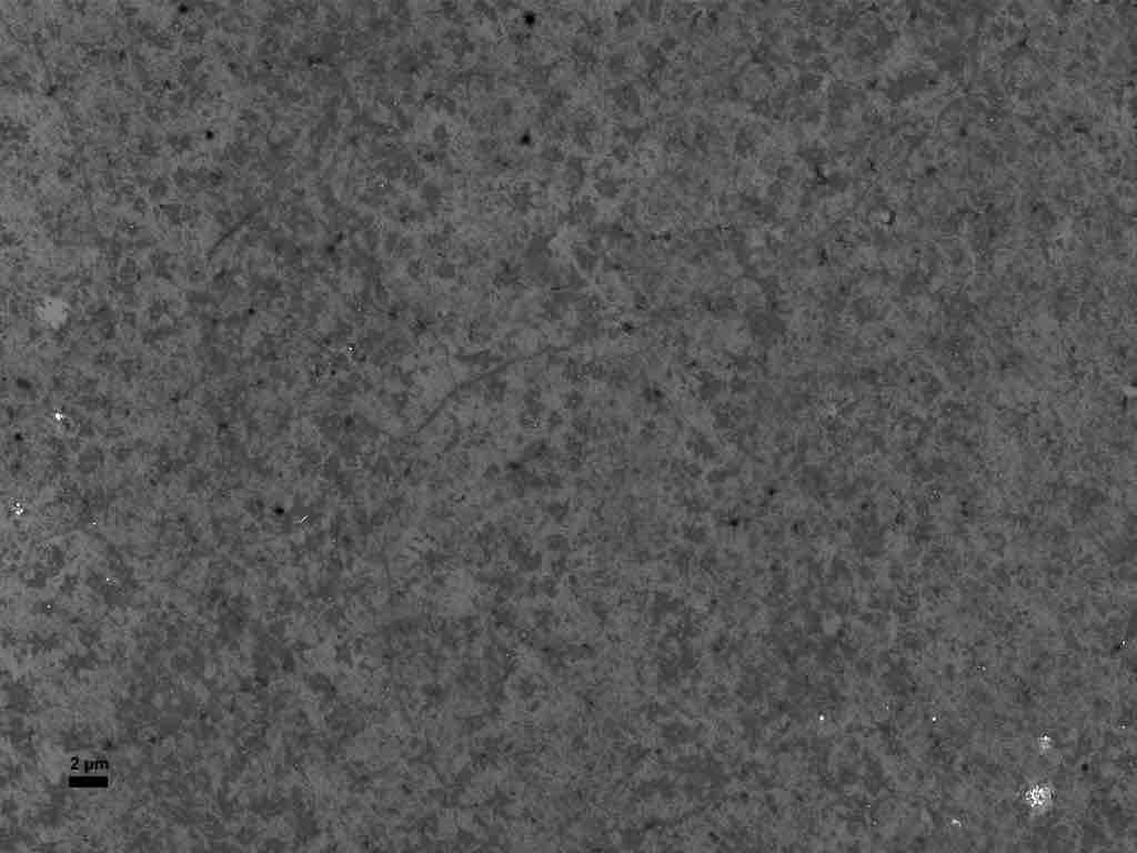 Typical SEM Image of ACS Material Monolayer TTHBN