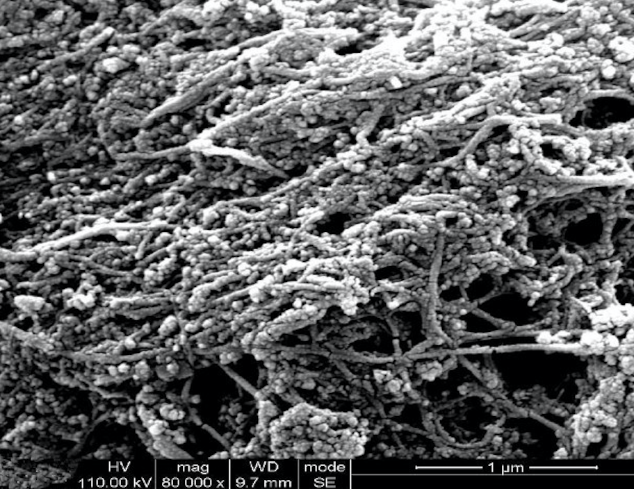 SEM Image of Double-Walled Carbon Nanotubes (Length = ~50 μm)