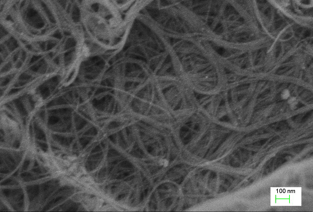 SEM Image of ACS Material Highly Purified SWCNTs-OH (Type A: Length = 1-3 μm)