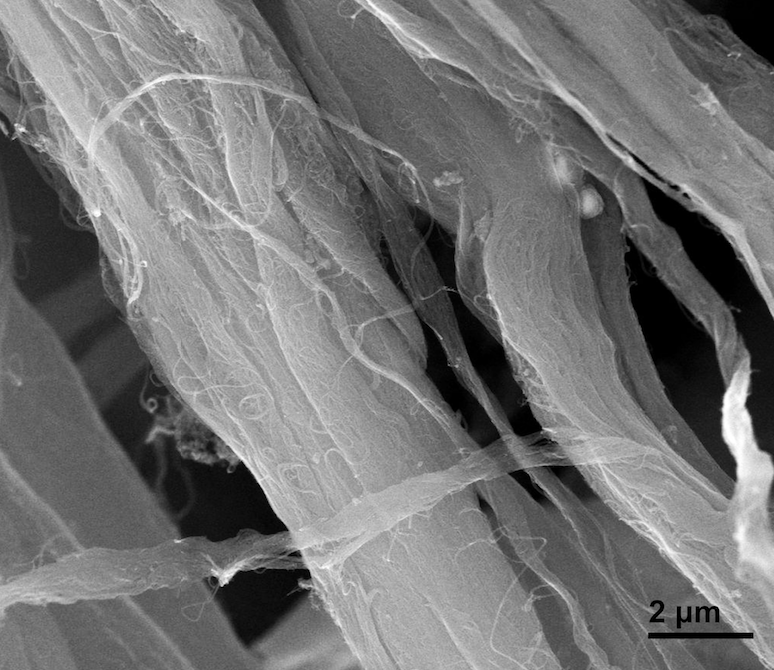 SEM Image of ACS Material Highly Purified SWCNTs-COOH (Type B: Length = 5-30 μm)