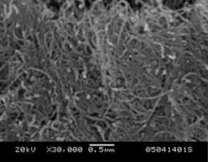 SEM Image of ACS Material Purified MWNTs-COOH (Length <10 μm)