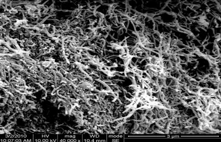 SEM Image of ACS Material Graphitized MWNTs (Length ~50 μm)