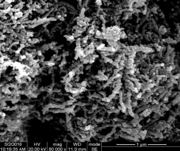 SEM Image of ACS Material Graphitized MWNTs (Length 10-30 μm)